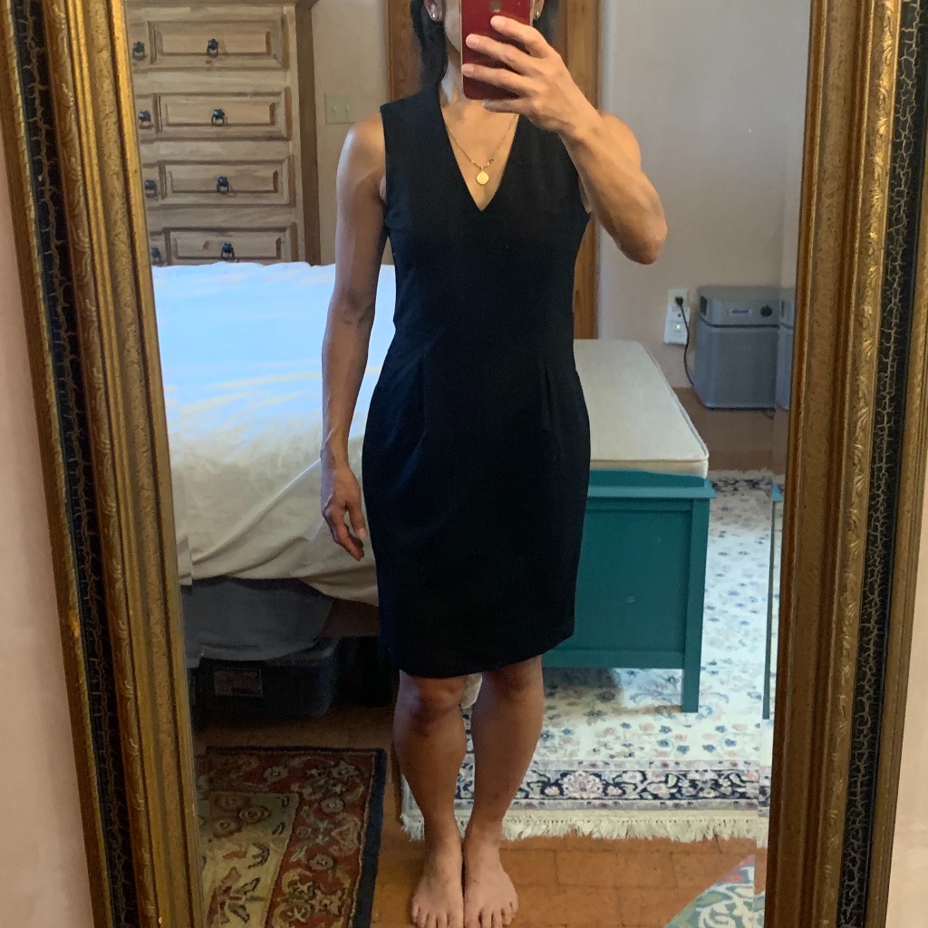 Banana Republic Ponte Sheath Dress